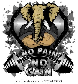 Vector illustration barbell and strong elephant. No pain - no gain inspirational lettering.