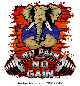 Vector illustration of a barbell and a strong  elephant on a brick wall background. No pain No gain