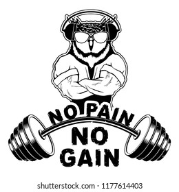 Vector illustration barbell and strong owl. "No pain - no gain" inspirational lettering.