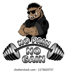 Vector illustration barbell and strong wild boar. "No pain - no gain" inspirational lettering.