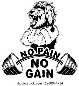 Vector illustration barbell and strong wild lion. No pain - no gain inspirational lettering.