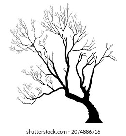 Vector illustration. Bare tree silhouette without barren leaves dead no scary black life. Hand drawn. Isolated on white background.