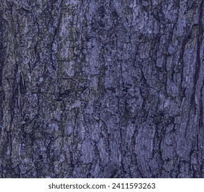 Ilustración vectorial de la textura de corteza de Campo Maple o Acer campestre. Fondo natural de cuero.
