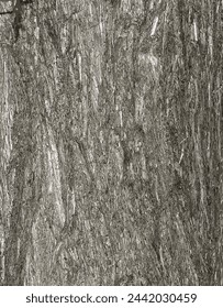 Vector illustration of the bark texture of Platycladus orientalis, also known as thuja sinensis, thuja orientalis or biota.
