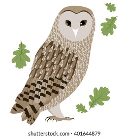 Vector Illustration of Barn Owl. Barn Owl isolated on white background. Vector illustration Barn Owl. 