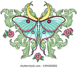 Vector illustration of baroque elements, moon moth, crescent and flowers isolated on white background. Print for poster, t-shirt, card.