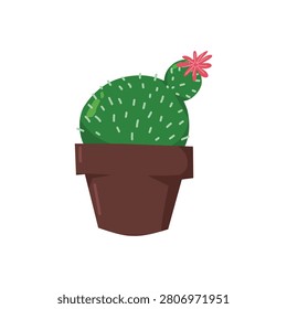 Vector illustration of barrel cactus on pot for your desain for your illustration for sticker