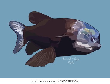 Ilustración vectorial de peces de ojo de barril