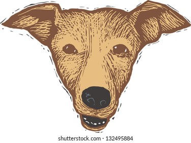Vector illustration of basenji dog