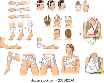 Vector illustration of basic Bandaging techniques