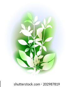 Vector illustration with basil bunch. Silhouettes of twigs of basil and soft background like watercolor paintings. Spice herbs series. Vector file is EPS10, transparency effects.