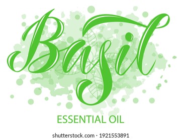 Vector illustration of Basil
Essential Oil text for logotype, packaging, banner, label, poster, decoration, postcard. Basil Essential Oil calligraphy background. EPS 10.