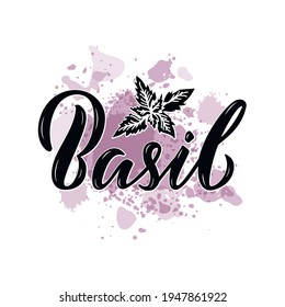 Vector Illustration Of Basil Lettering For Packages, Product Design, Banners, Stickers, Spice Shop Price List And  Decoration. Handwritten Isolated Word With Floral Graphic Elements For Web Or Print
