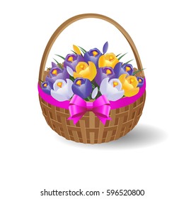 Vector Illustration. Basket with crocuses.