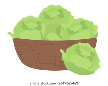 Vector illustration of a basket filled with fresh green cabbages. The illustration highlights the freshness and vibrant green color of the cabbages, ideal for culinary and health-related designs.