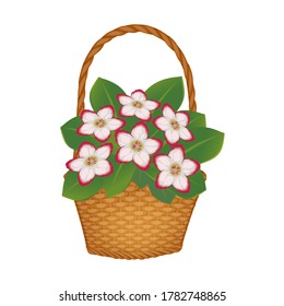 Vector illustration basket with flowers as a gift for a holiday greeting