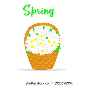 
vector illustration basket with spring flowers
