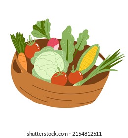 Vector illustration of basket with vegetables in flat hand drawn style. Tomato, carrot, salad, corn, radish. Organic healthy food