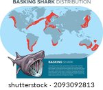 Vector illustration of Basking sharks distribution map - inhabit temperate coastlines worldwide. Infographic template design.