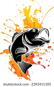 vector illustration of bass fish on white background.