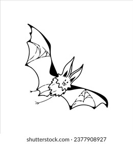 vector illustration of bat outline concept