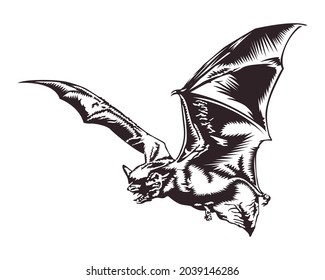 Vector illustration of bat in vintage style isolated on white background