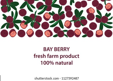vector illustration of bay berry and leaf design background white and berry and text fresh farm product 100% natural EPS8