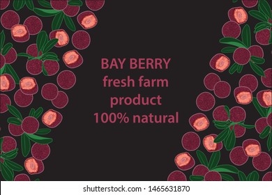 vector illustration of bay berry and leaf design background black and berry and text fresh farm product 100% natural EPS10