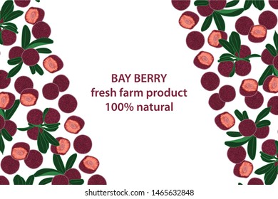 vector illustration of bay berry and leaf design background white and berry and text fresh farm product 100% natural EPS10