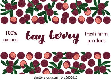 vector illustration of bay berry and leaf design with lettering bay berry background white and berry and text fresh farm product 100% natural EPS10