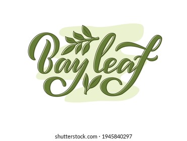 Vector illustration of bay leaf lettering for packages, product design, banners, stickers, spice shop price list and  decoration. Handwritten phrase with floral graphic elements for web or print
