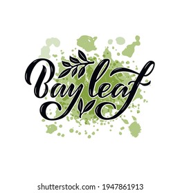 Vector illustration of bay leaf lettering for packages, product design, banners, stickers, spice shop price list and  decoration. Handwritten phrase with floral graphic elements for web or print
