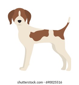 Vector illustration of beagle dog. Isolated on white background.