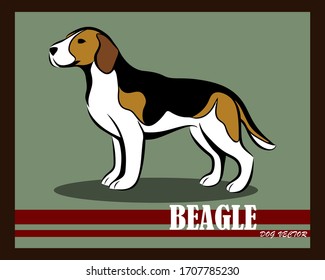 Vector illustration of beagle dog. It is standing. 