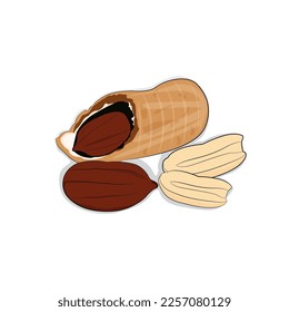 ilustración vectorial de un frijol, simple y atractivo