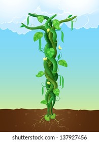 Vector Illustration Of A Bean Stalk On The Fairy Tale Jack And The Beanstalk. The Concept Of Growth