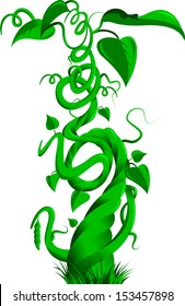 Vector Illustration Of A Bean Stalk On The Fairy Tale Jack And The Beanstalk