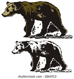 Vector illustration of a bear.