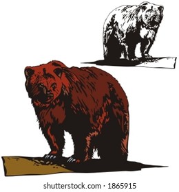 Vector illustration of a bear.