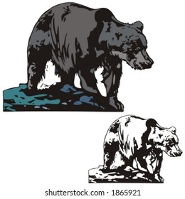 Vector illustration of a bear.