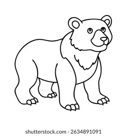 vector illustration of a bear