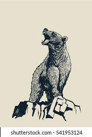 Vector illustration of bear