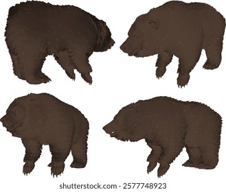 vector illustration of bear animal design with sharp claws and teeth