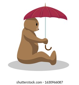 vector illustration of Bear cartoon character with umbrella
