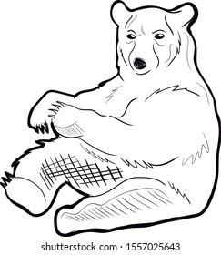 vector illustration of bear in the form of a sketch