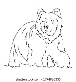 Vector illustration of bear in line art style design