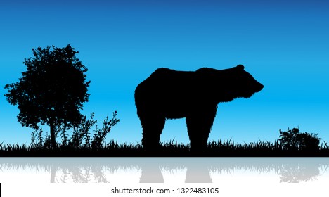 Vector illustration of bear in nature on white background. Wild animal.