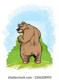Vector illustration of a bear near a shrub