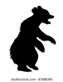 vector illustration bear on white background