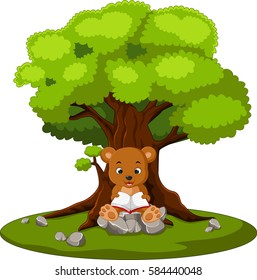 vector illustration of bear reading book and sitting on the stone
